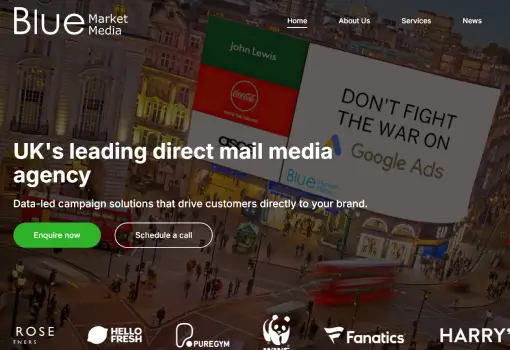 Blue Market Media | Case Study | SEO