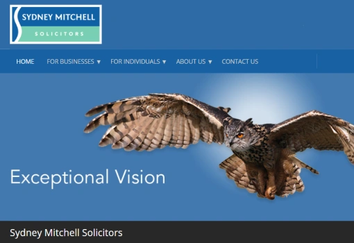 Sydney Mitchell | Case Study | PPC
